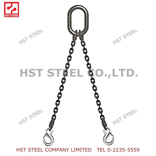 ชุดโซ่ยกของ POWER LIFT™ รุ่น CHS-2A